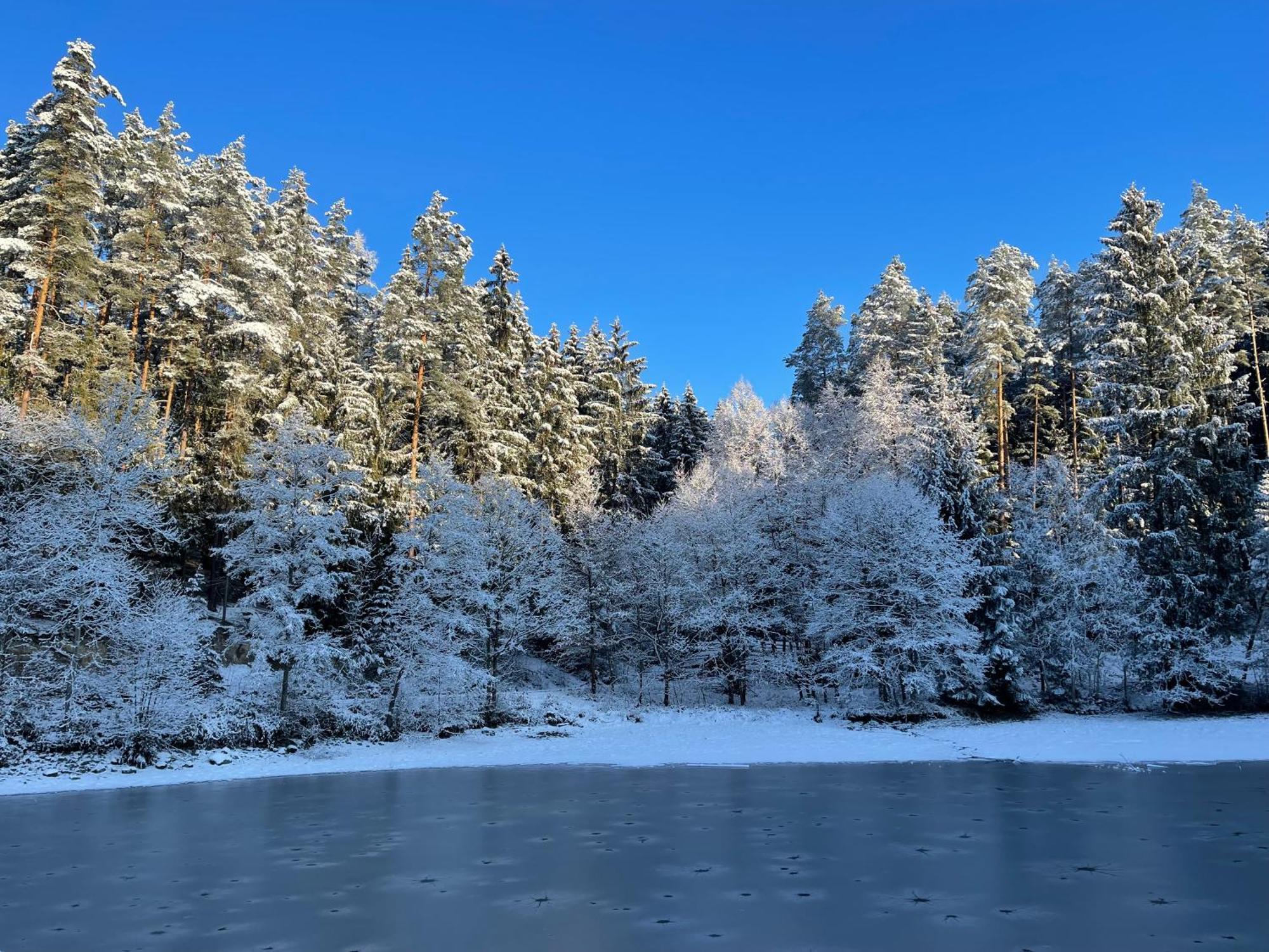 Waldhotel Linzmuehle Kahla  Esterno foto