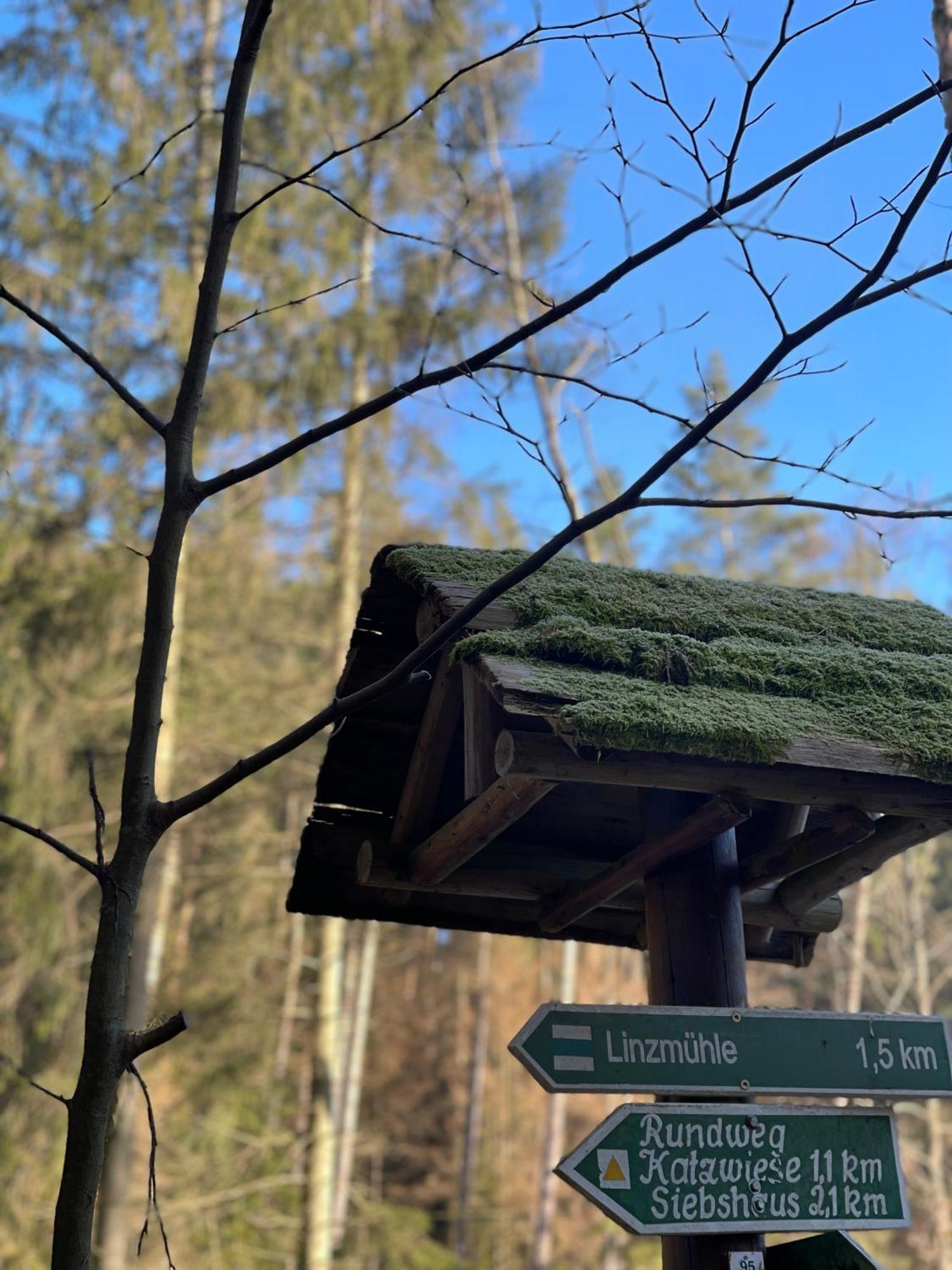 Waldhotel Linzmuehle Kahla  Esterno foto
